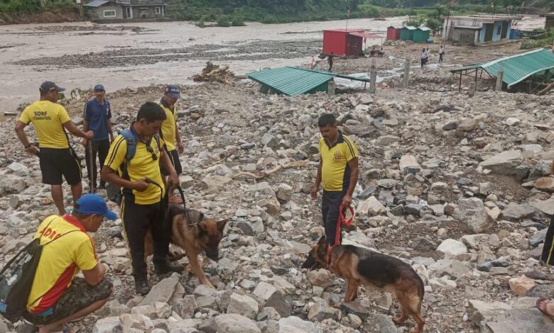 Disaster in Uttarakhand dog squad