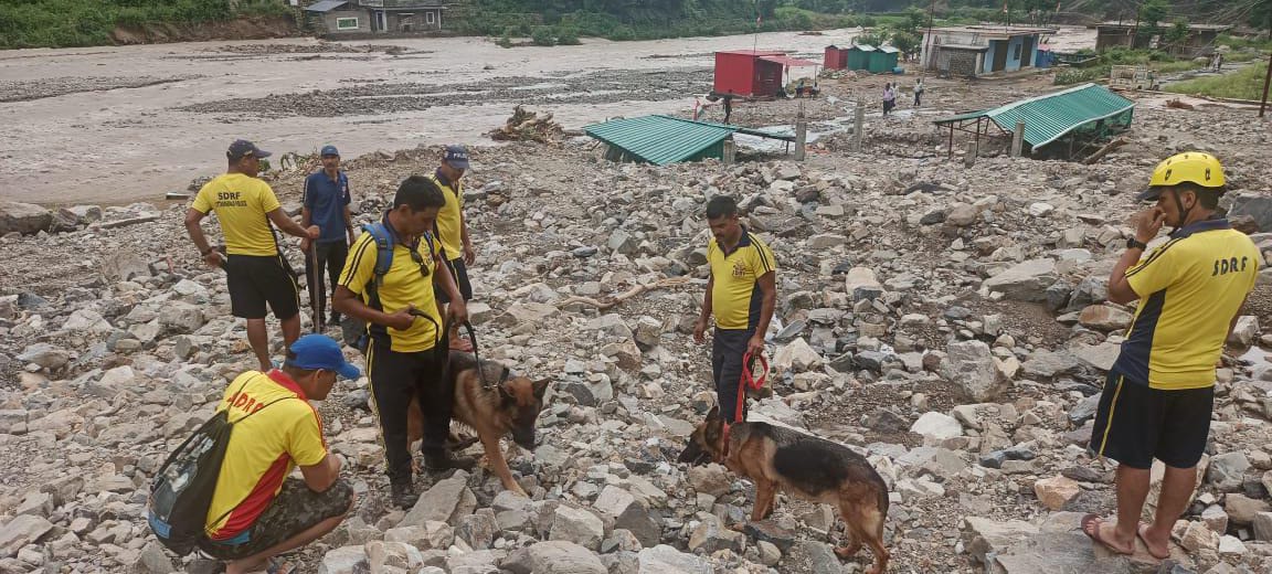 Disaster in Uttarakhand dog squad